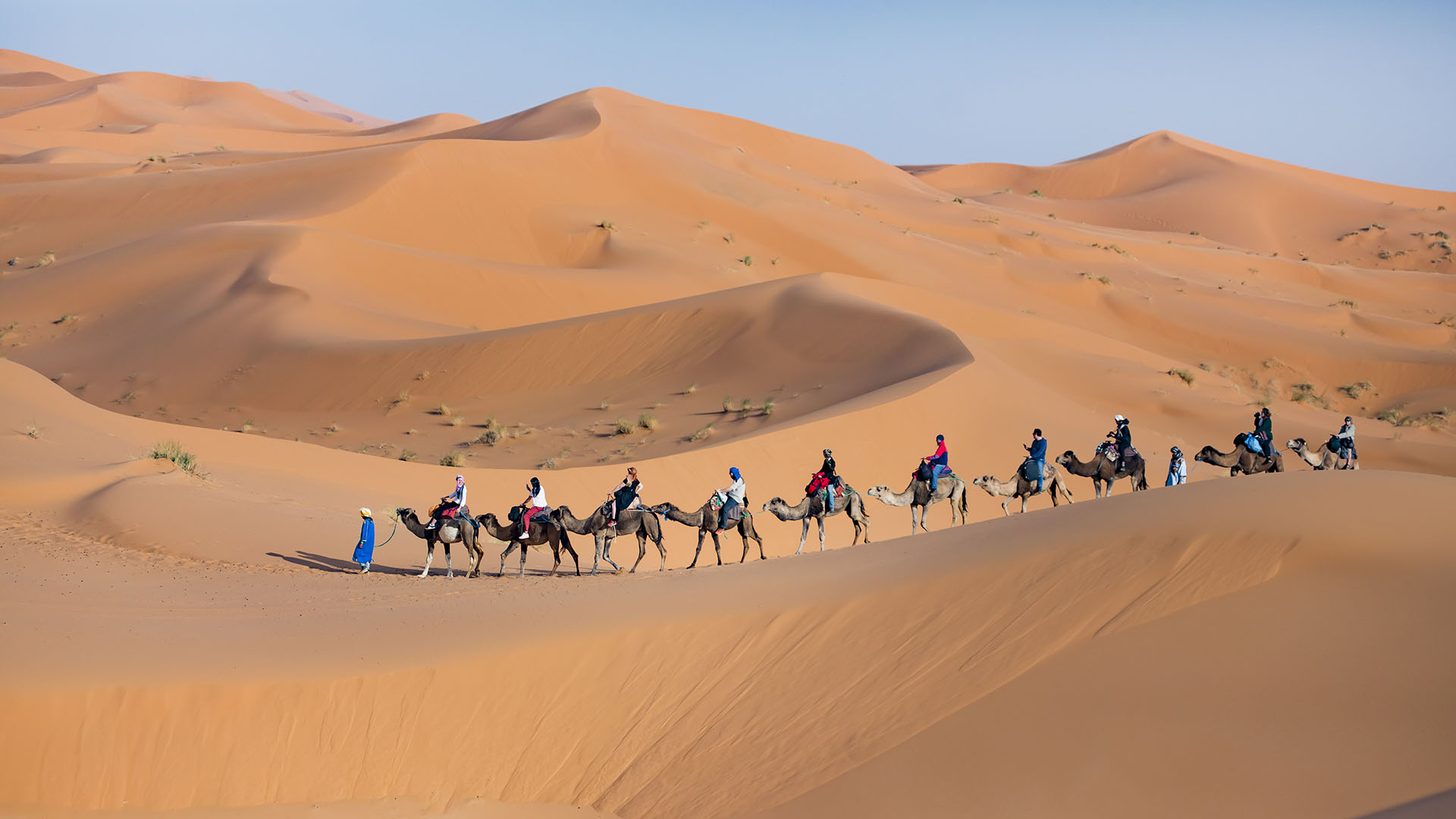 Camel Trekking in the Sahara