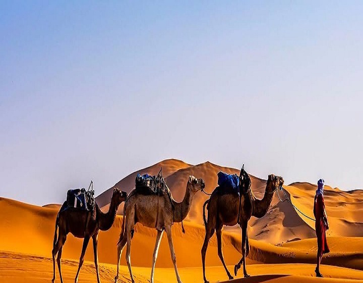 12 days Morocco adventure